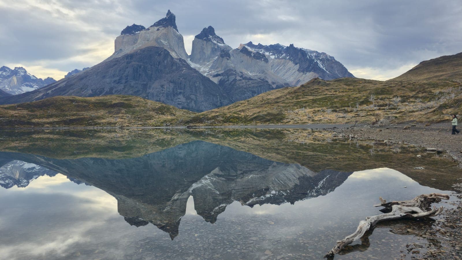 Full Day Torres del Paine