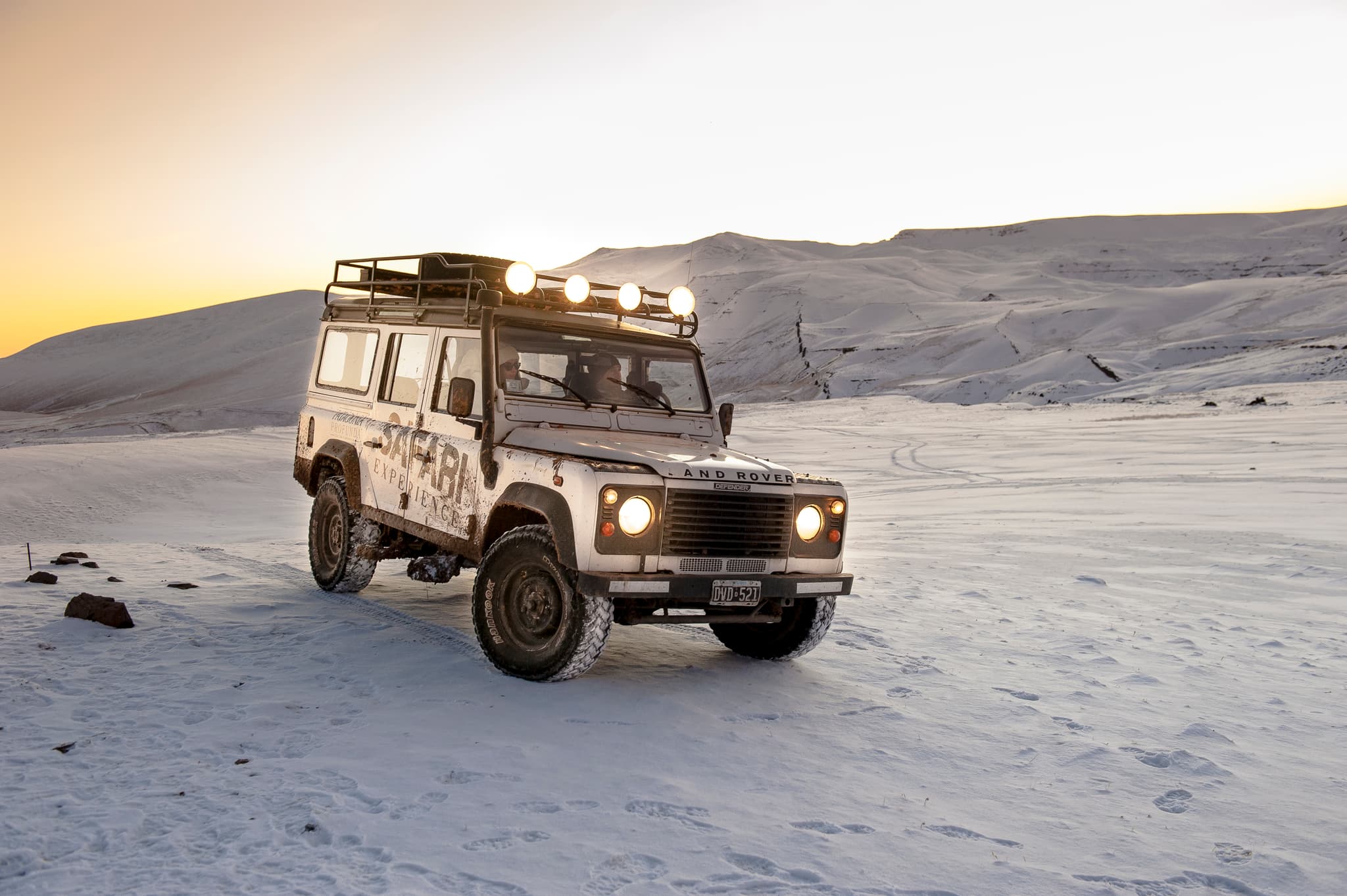 Safari Experience