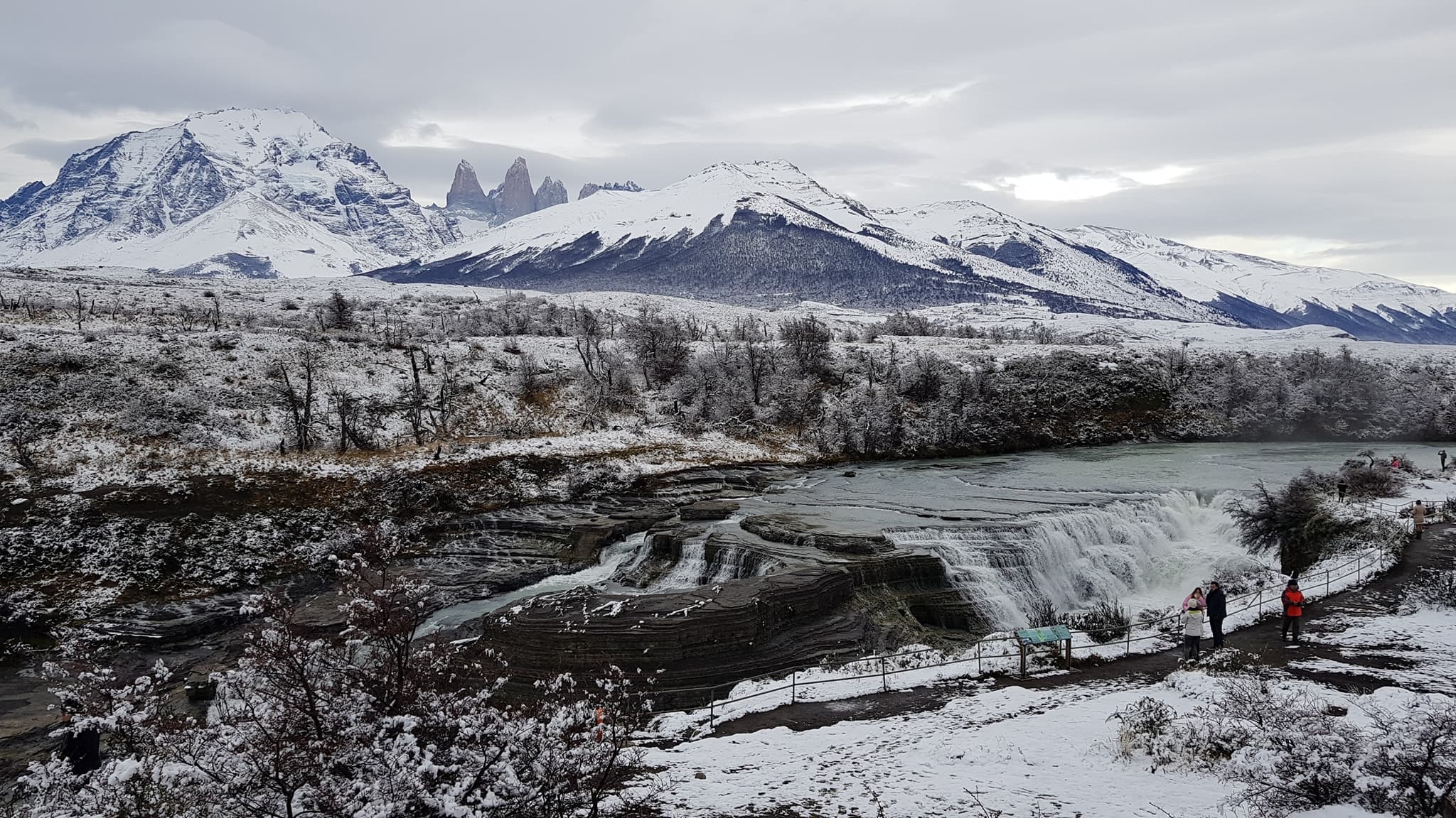 Full Day Torres del Paine