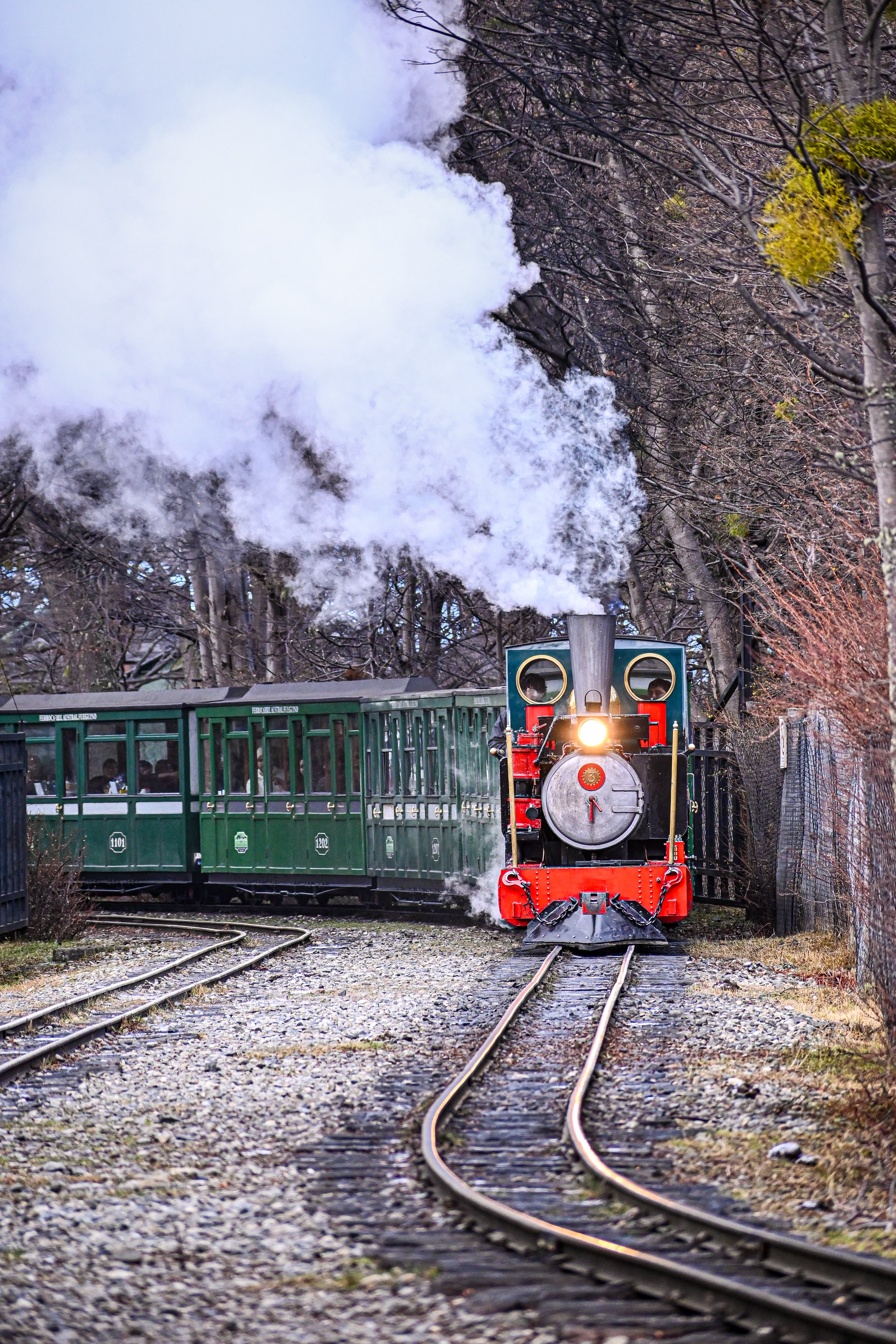 Parque Nacional Tierra del Fuego + Opción del Tren del Fin del Mundo