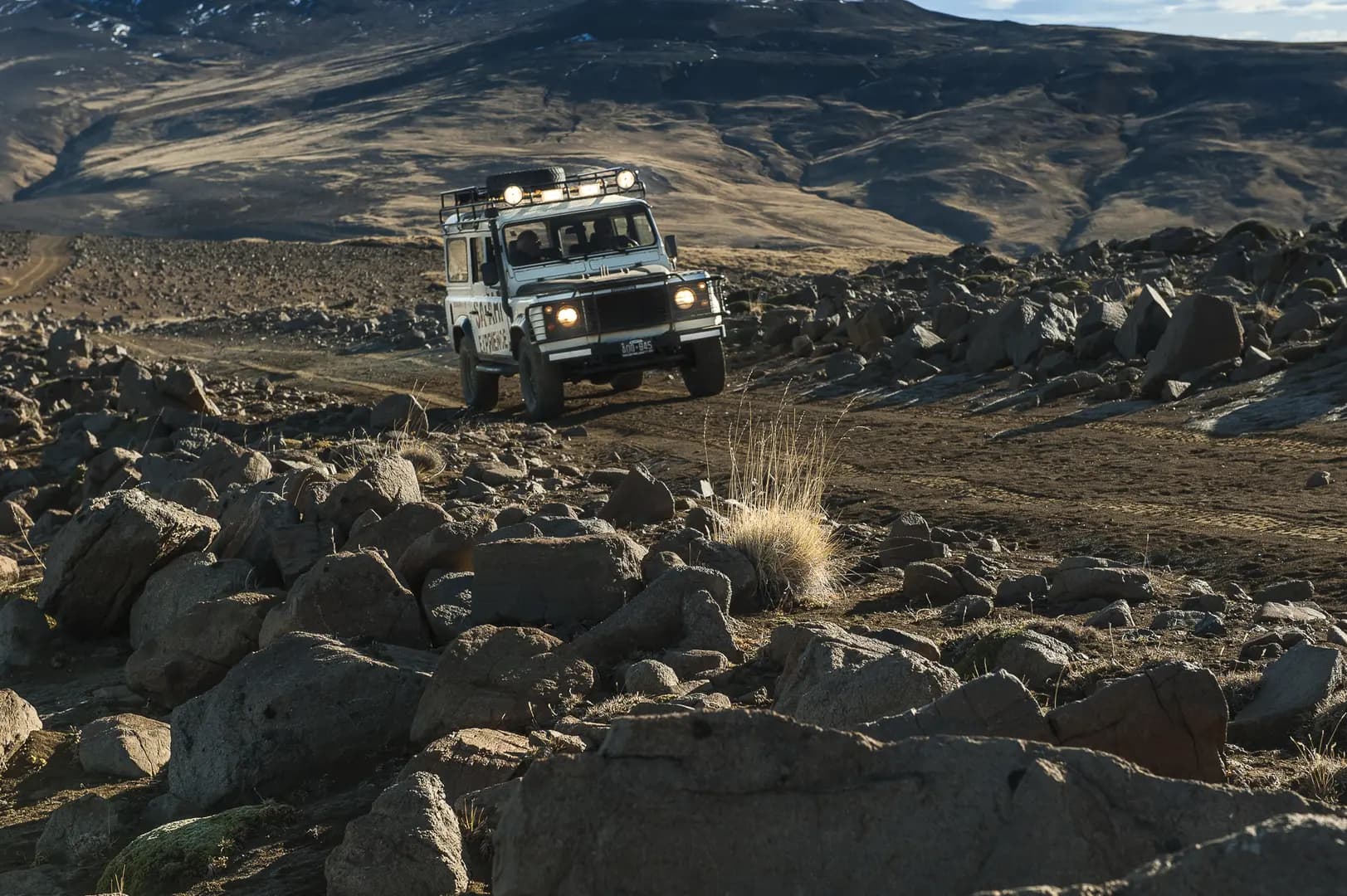 Safari Experience