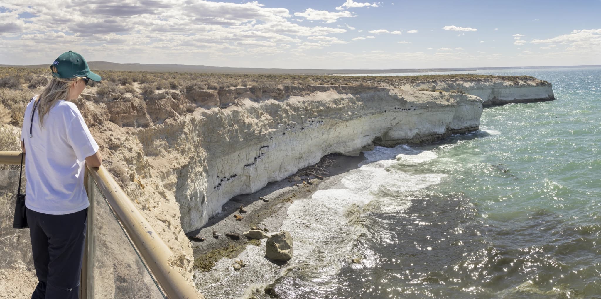 City Tour en Puerto Madryn + Punta Loma