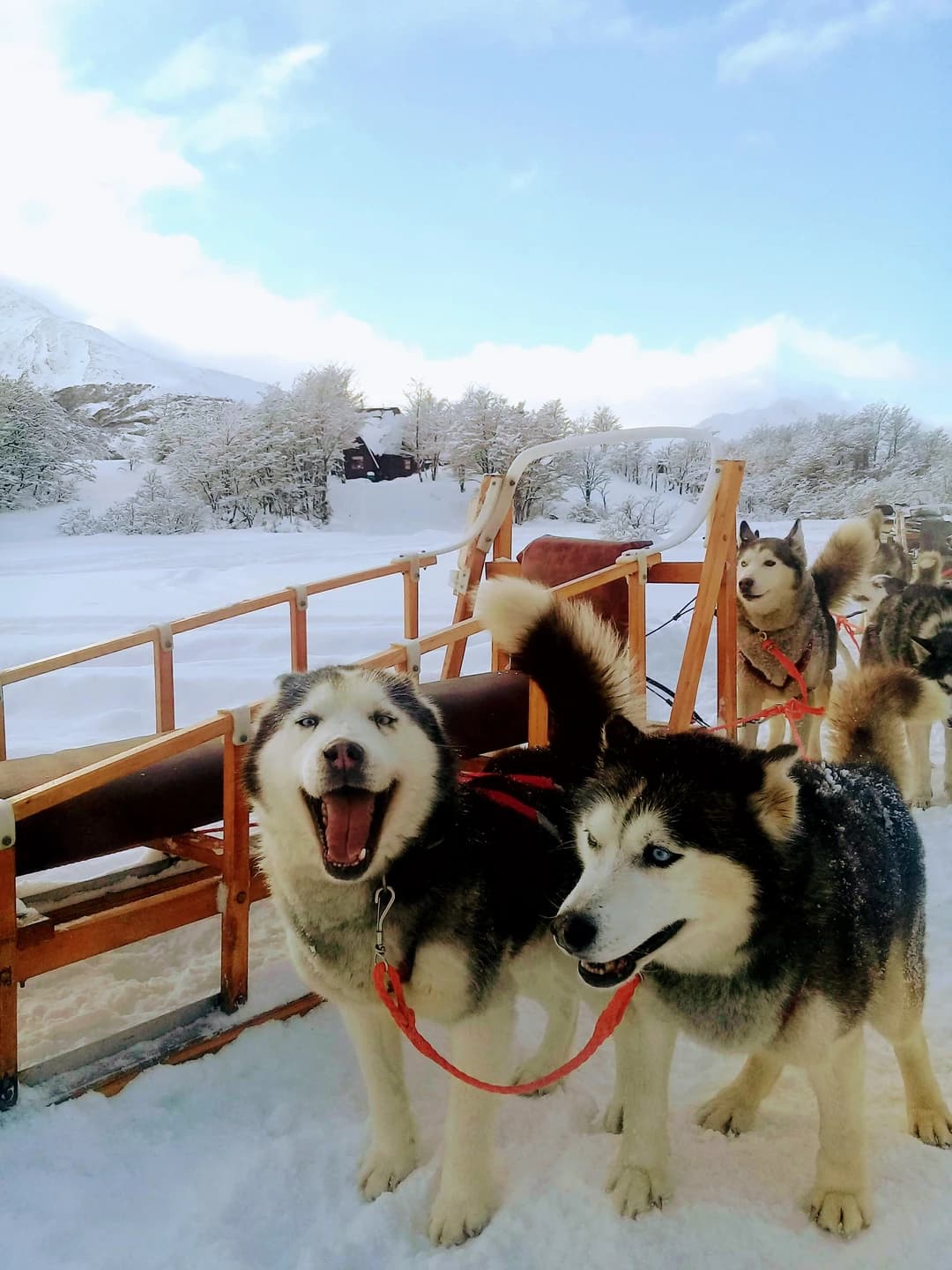 Full Day Nieve