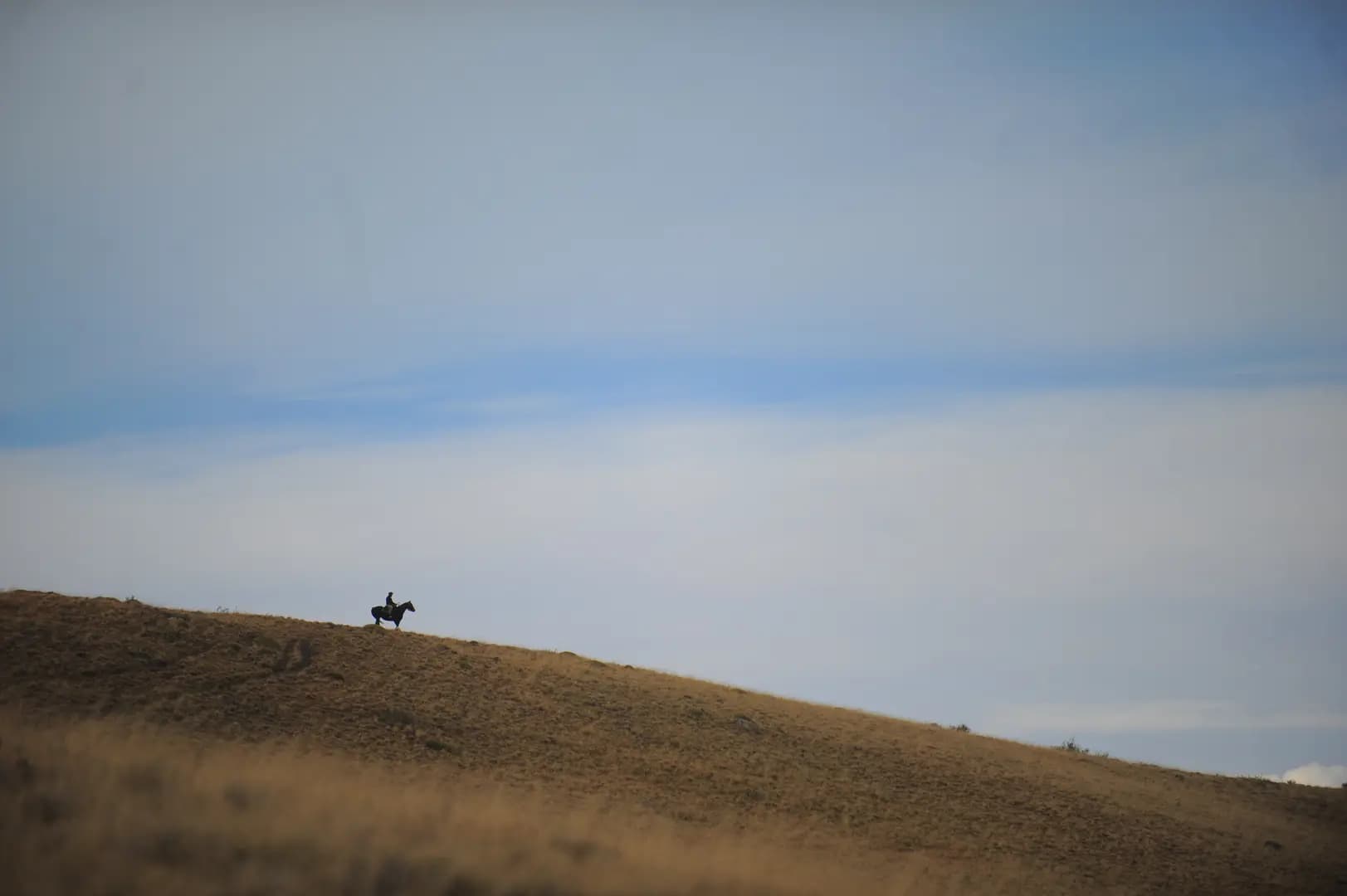Cabalgata en Cerro Frias