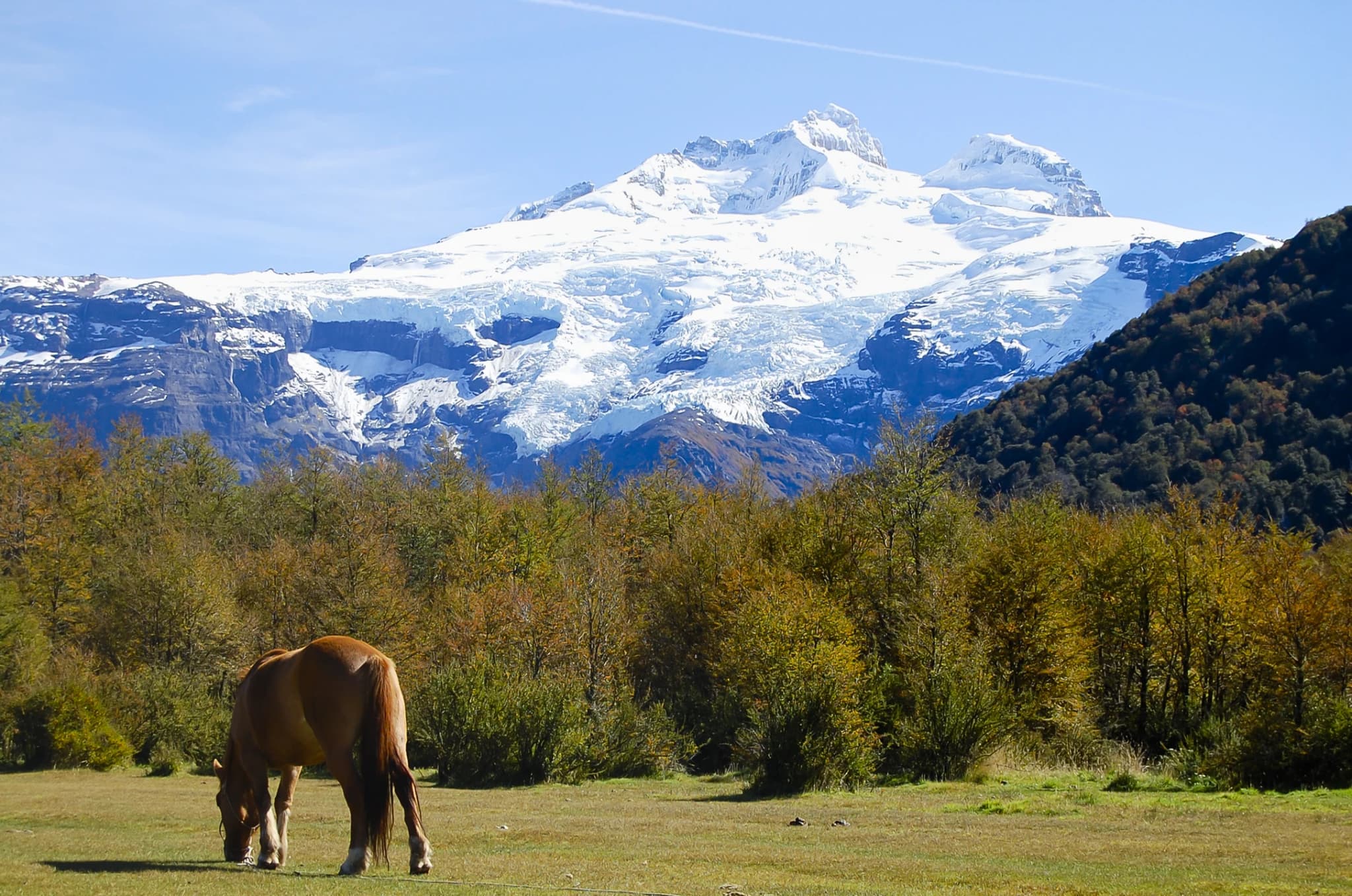 Cerro Tronador y Ventisqueros negros
