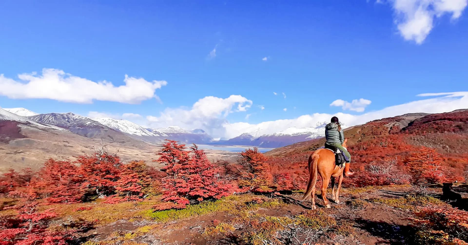 Estancia Nibepo Aike + Cabalgata