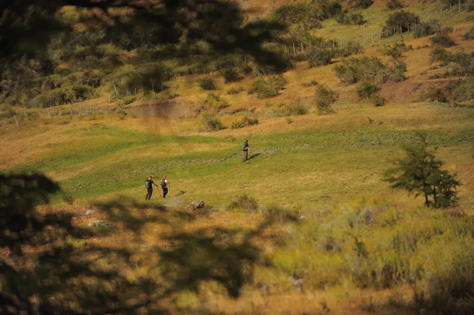 Trekking en el Cerro Frías