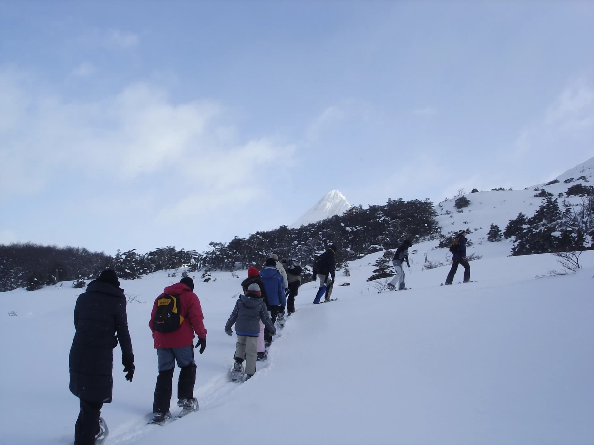 Full Day Nieve