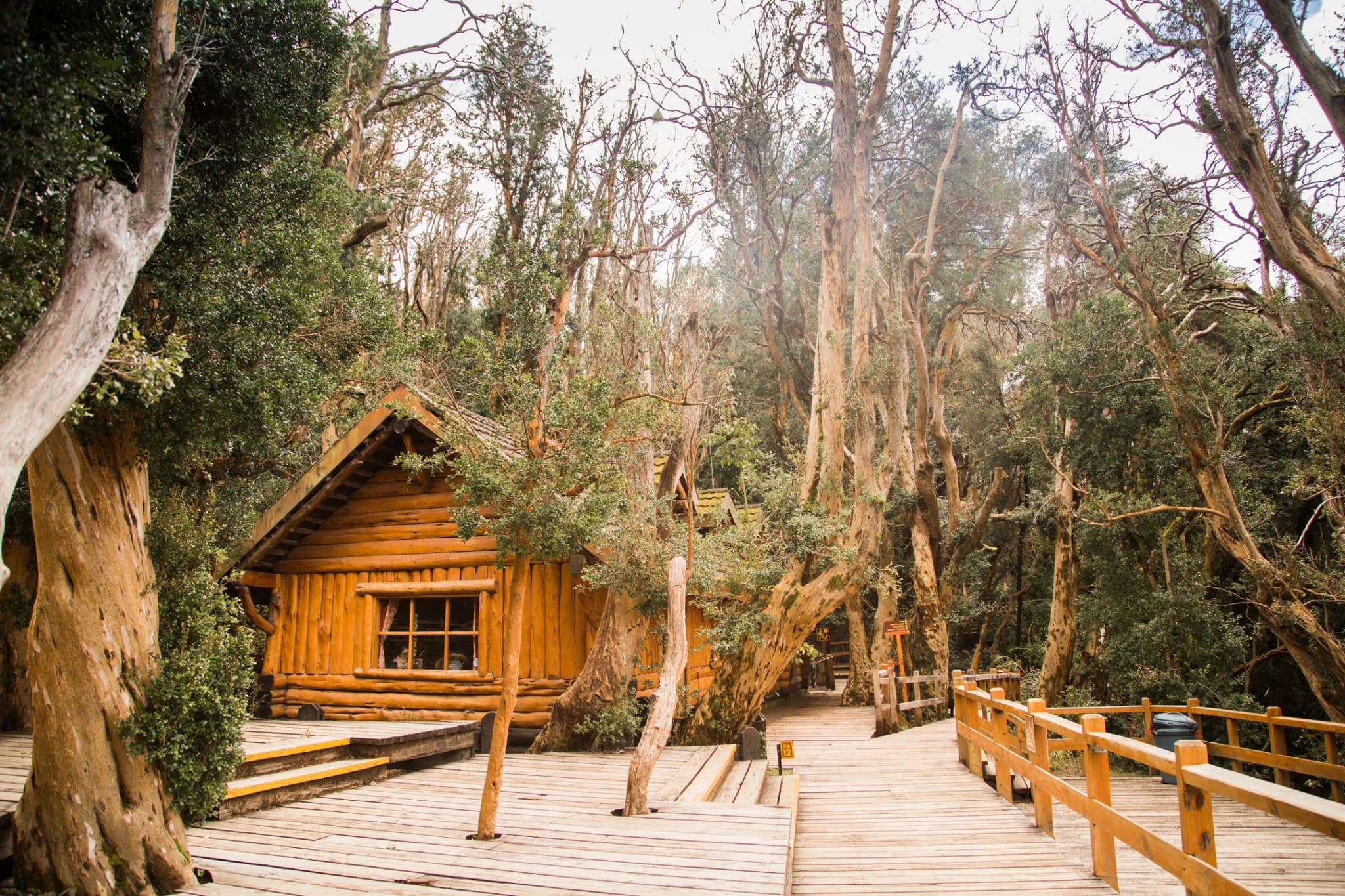 Navegación Isla Victoria y Bosque de Arrayanes