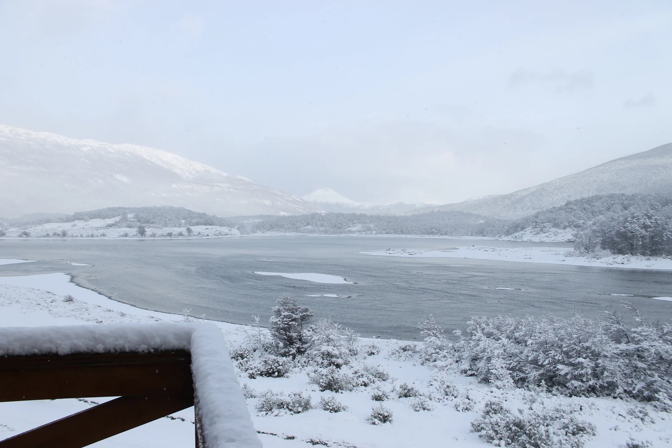 Parque Nacional Tierra del Fuego + Opción del Tren del Fin del Mundo