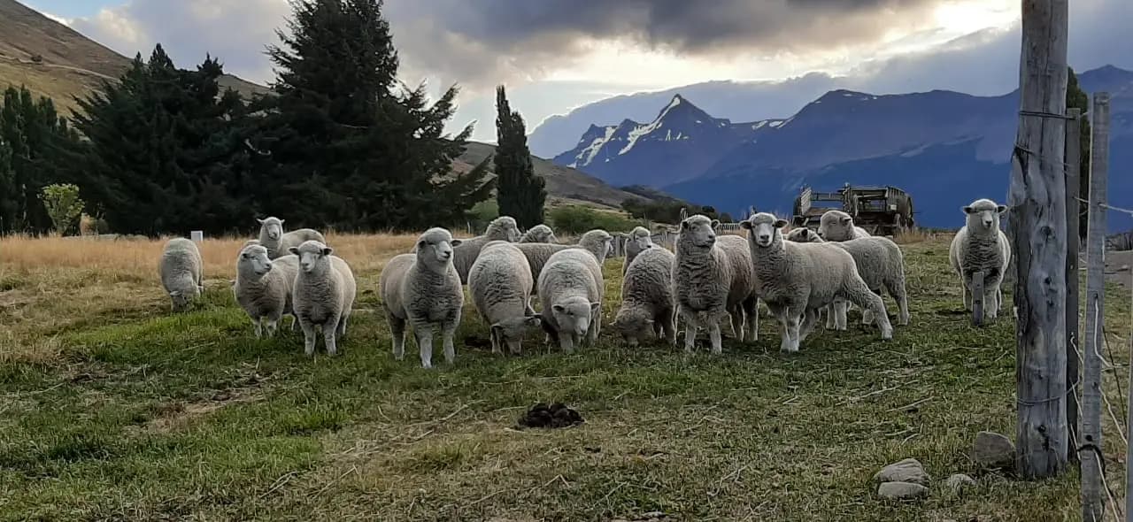 Estancia Nibepo Aike