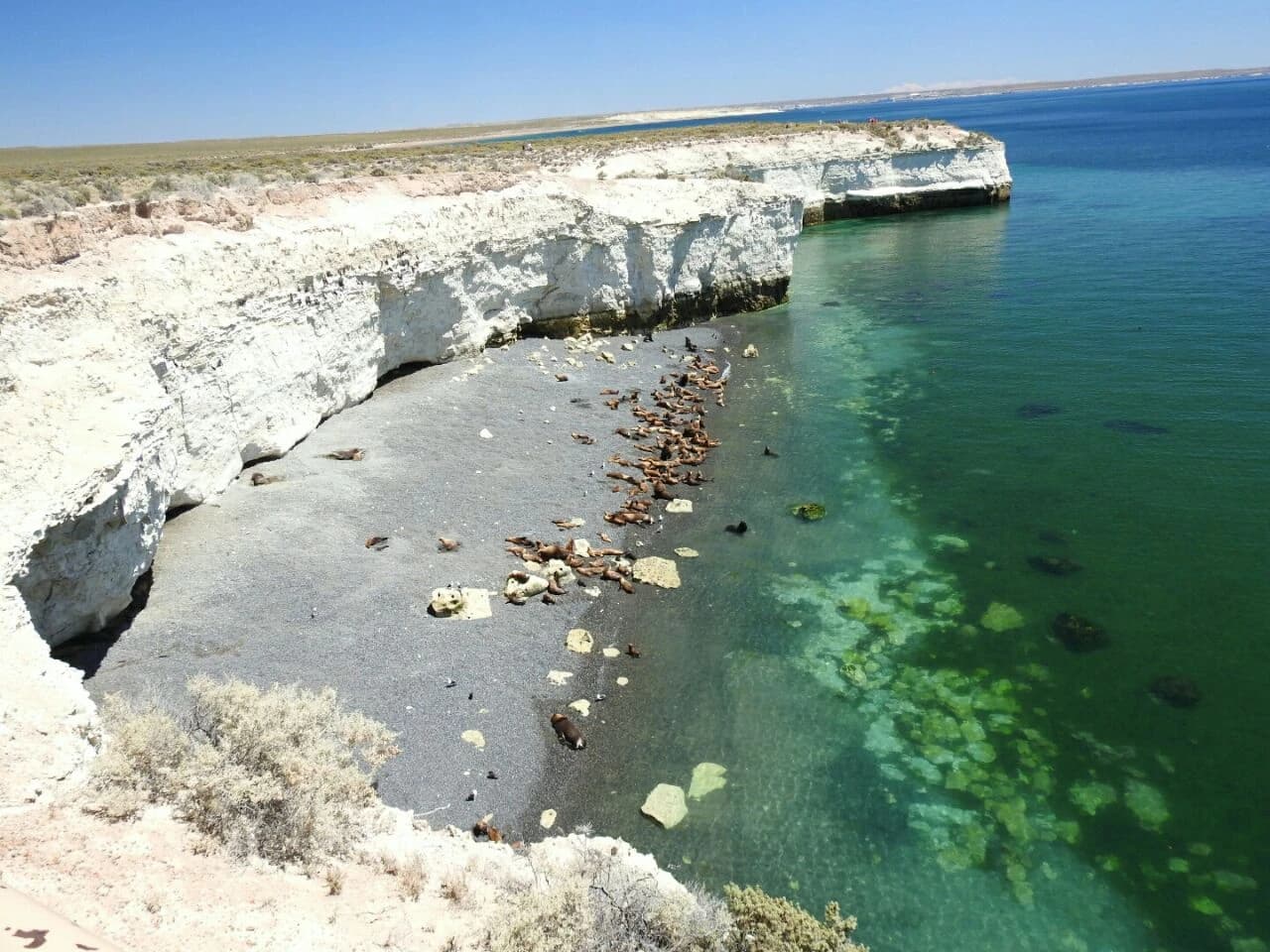 City Tour en Puerto Madryn + Punta Loma