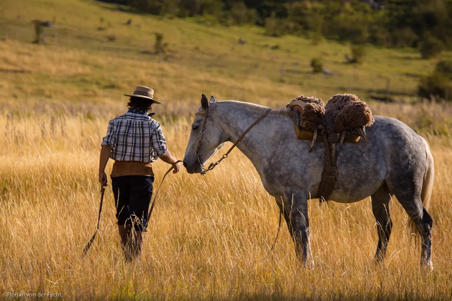 Estancia Nibepo Aike + Cabalgata