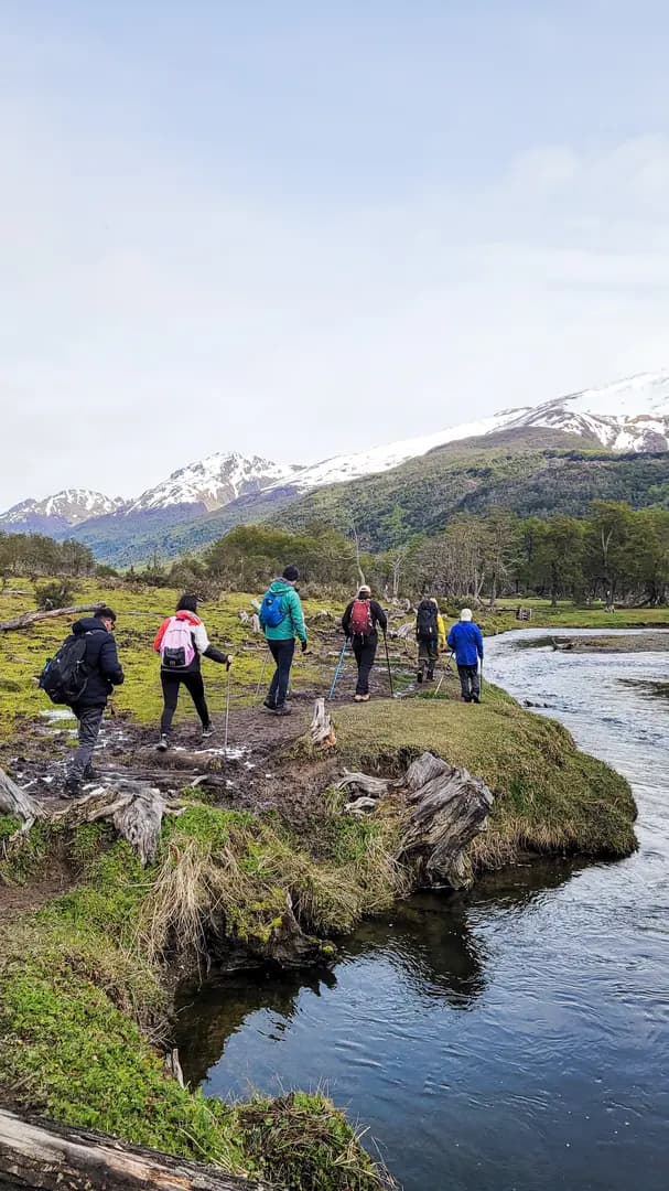 Glaciar Vinciguerra y Laguna de los Témpanos