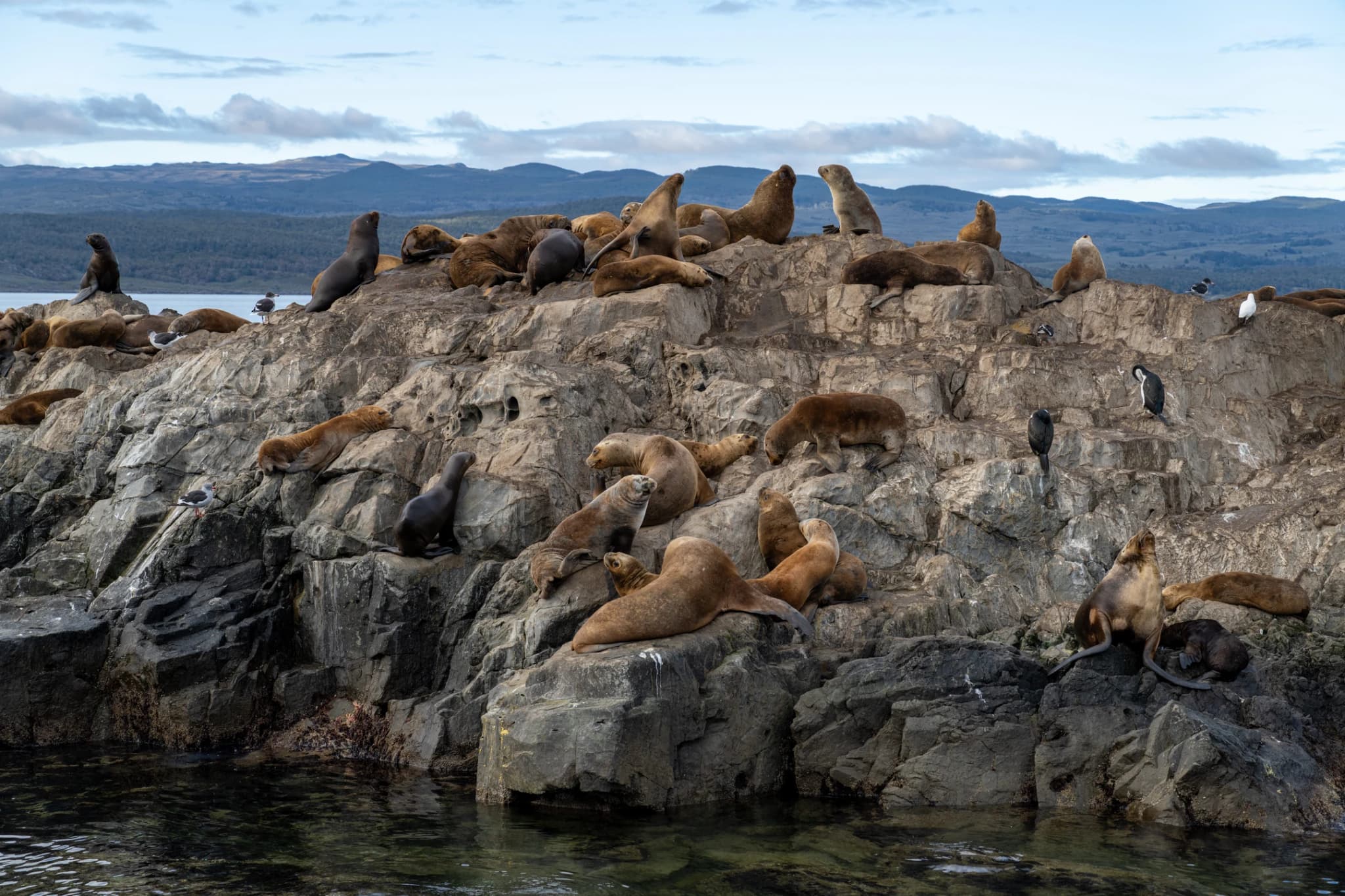 Navegación en el Canal Beagle