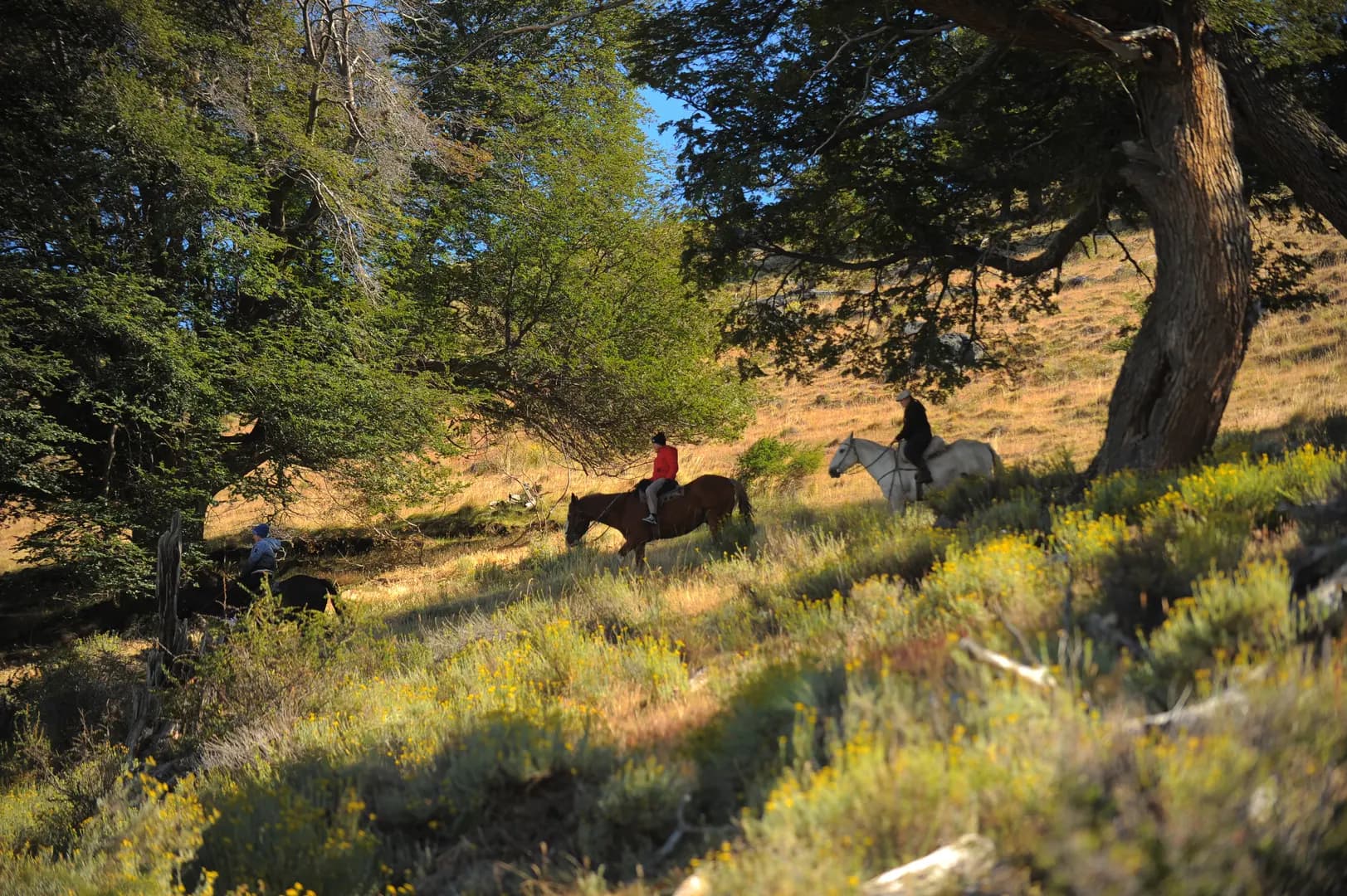 Cabalgata en Cerro Frias