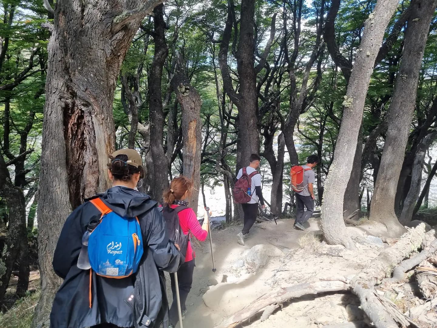 Trekking Laguna de los Tres