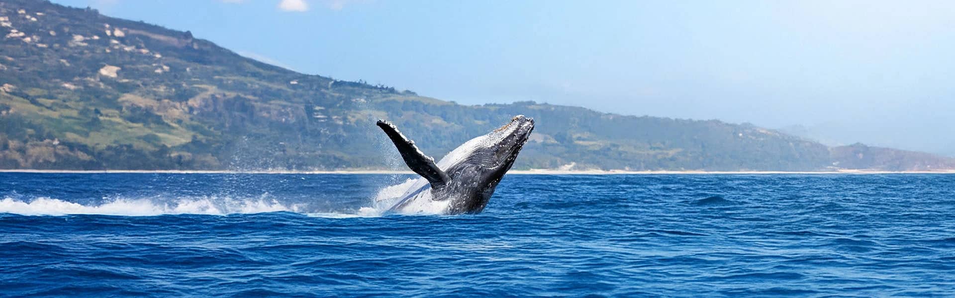 imagen de puerto-madryn