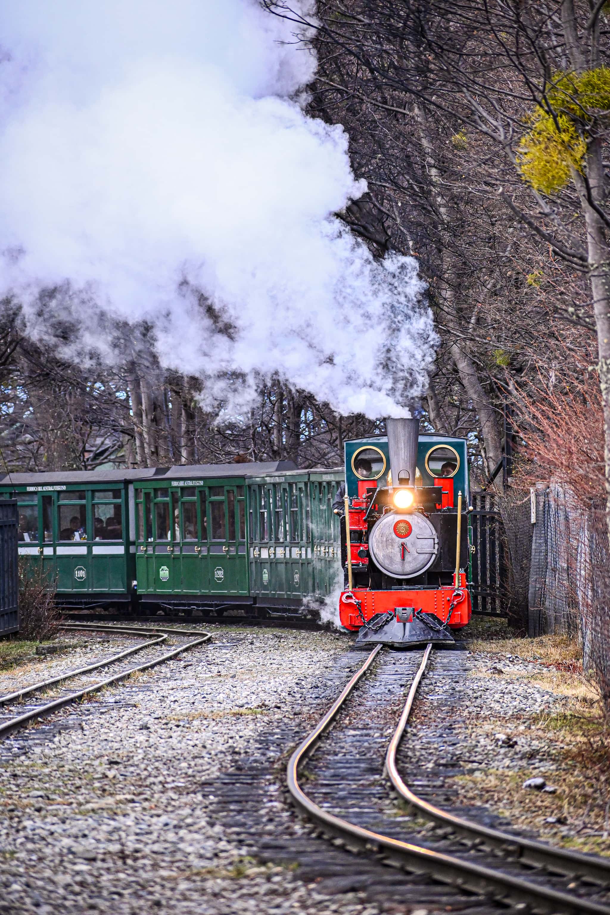 Parque Nacional Tierra del Fuego + Opción del Tren del Fin del Mundo